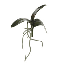 SMALL ORCHID LEAVES 21CM GREEN