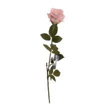 SINGLE ROSE BUD IN POLYBAG 78CM PINK