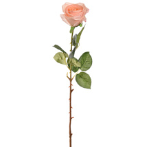 REAL TOUCH ROSE 65CM PEACH