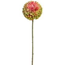 CURLED DAHLIA 64CM GREEN PINK