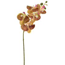 TROPICAL ORCHID 70CM YELLOW