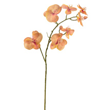 LARGE ORCHID SPRAY 87CM YELLOW