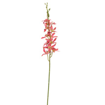 ORCHID 80CM PINK