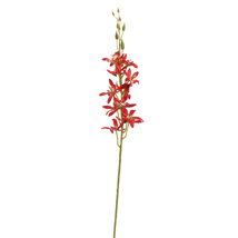 ORCHIDEE 80CM ROUGE