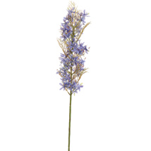 FLOWER ASPARAGUS 76CM BLUE