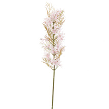 FLOWER ASPARAGUS 76CM CREAM PINK