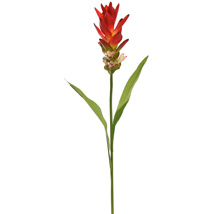 GINGER LILY 70CM RED
