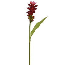 GINGER LILY 75CM RED