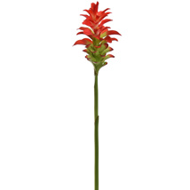 GINGER LILY 90CM RED