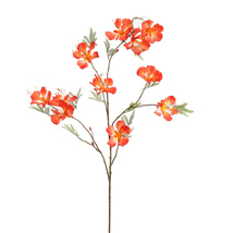 FLAME TREE FLOWER 122CM RED