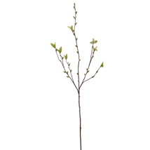 PUSSY WILLOW 95CM GREY