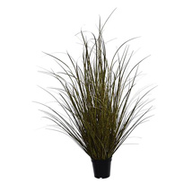 SPOTTED GRASS IN POT H 90 CM