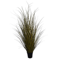 SPOTTED GRASS IN POT H 118 CM