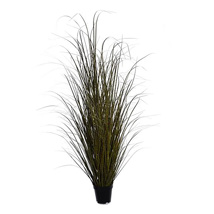 SPOTTED GRASS IN POT H 180 CM