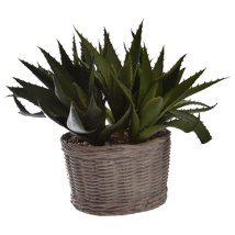 SMALL AGAVE BASKET 24X25CM GREEN