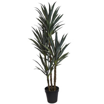 LARGE AGAVE PLANT 160CM GREEN