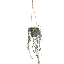 HANGING SMALL LEAVES IN POT 40CM GREEN