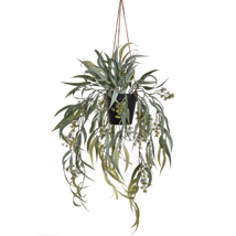 LARGE WEEPING WILLOW IN POT 65CM GREY