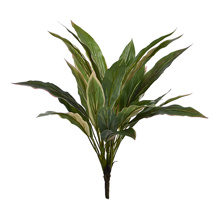 CORDILINE LEAVES PLANT 50CM GREEN