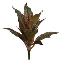 CORDILINE LEAVES PLANT X7 W /20 LVS RED GREEN