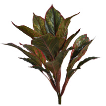 CORDILINE LEAVES PLANT X 6 W/27 LVS 56CM RED GREEN