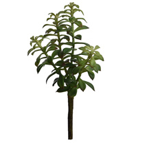 PLANT X 4 H 33CM GREEN