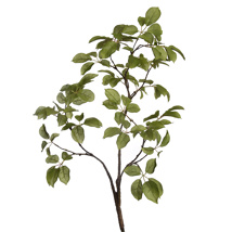 LARGE LEAVES BRANCH 100CM GREEN