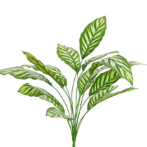 PLANT 65CM GREEN WHITE
