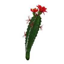 PRICKY PEAR CACTUS W/FLOWER RED