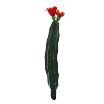 SMALL STRAIGHT CACTUS W/FLOWER 23CM RED