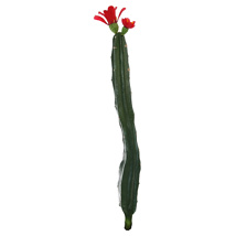 LARGE STRAIGHT CACTUS W/FLOWER 14CM RED