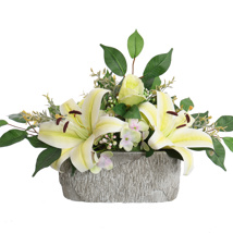 ROSE LILY IN OVAL PLANTER 45X30CM GREEN