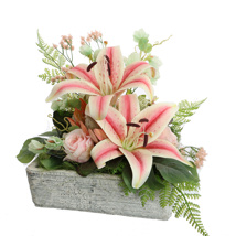 LILY ROSE ARR IN SQUARE PLANTER 35X30X30CM PINK