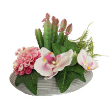 ORCHID ZINNIA IN OVAL PLANTER 17X22X15CM PINK