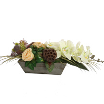ROSE ORCHID IN RECTANGLE PLANTER 55X18CM GREEN