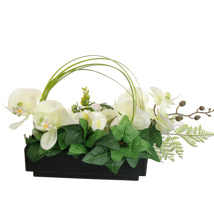 ORCHID ROSE IN RECTANGLE PLANTER 45X15X25CM GREEN
