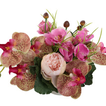 ORCHID BALL ROSE ARR IN POT 30X20X18CM