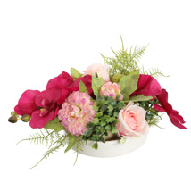 ORCHID ZINNIA ARR IN ROUND TRAY D30X14CM BURGUNDY