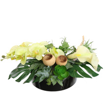 CALLA ORCHID ARR IN ROUND TRAY D50X20CM GREEN