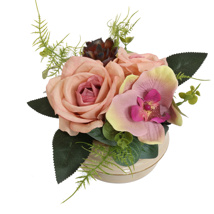 ROSE ORCHID ARR IN ROUND PLANTER D18X15CM PINK