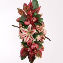 ROSE LILY ORCHID ARR 80X50X20CM PINK