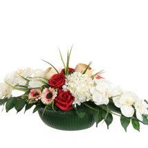 LILY ORCHID ARR IN OVAL PLASTIC POT 70X30X30CM CREAM