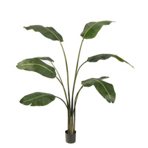 TRAVELLERS PALM 110CM GREEN
