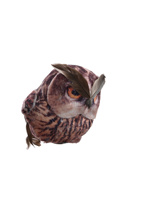OWL ON CLIP 9CM BROWN