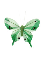 FEATHER BUTTERFLY 10CM (each in polybag) GREEN