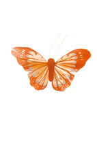 FEATHER BUTTERFLY 11CM (each in polybag) ORANGE