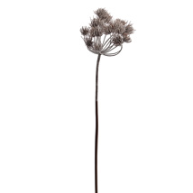 FROSTED QUEEN ANN LACE 82CM BROWN