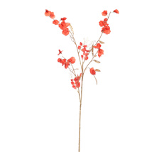 SWEET PEA 120CM GOLD RED
