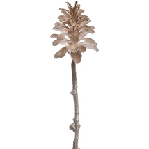 SMALL PINE CONE ON STEM 45CM CHAMPAGNE