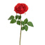 PROVENCE ROSE 52CM RED